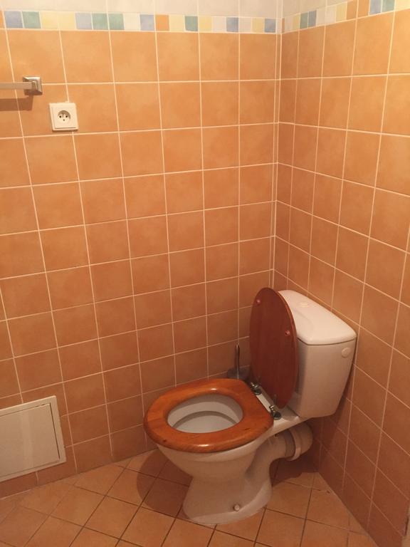 Apartments At The Golden Plough * Prag